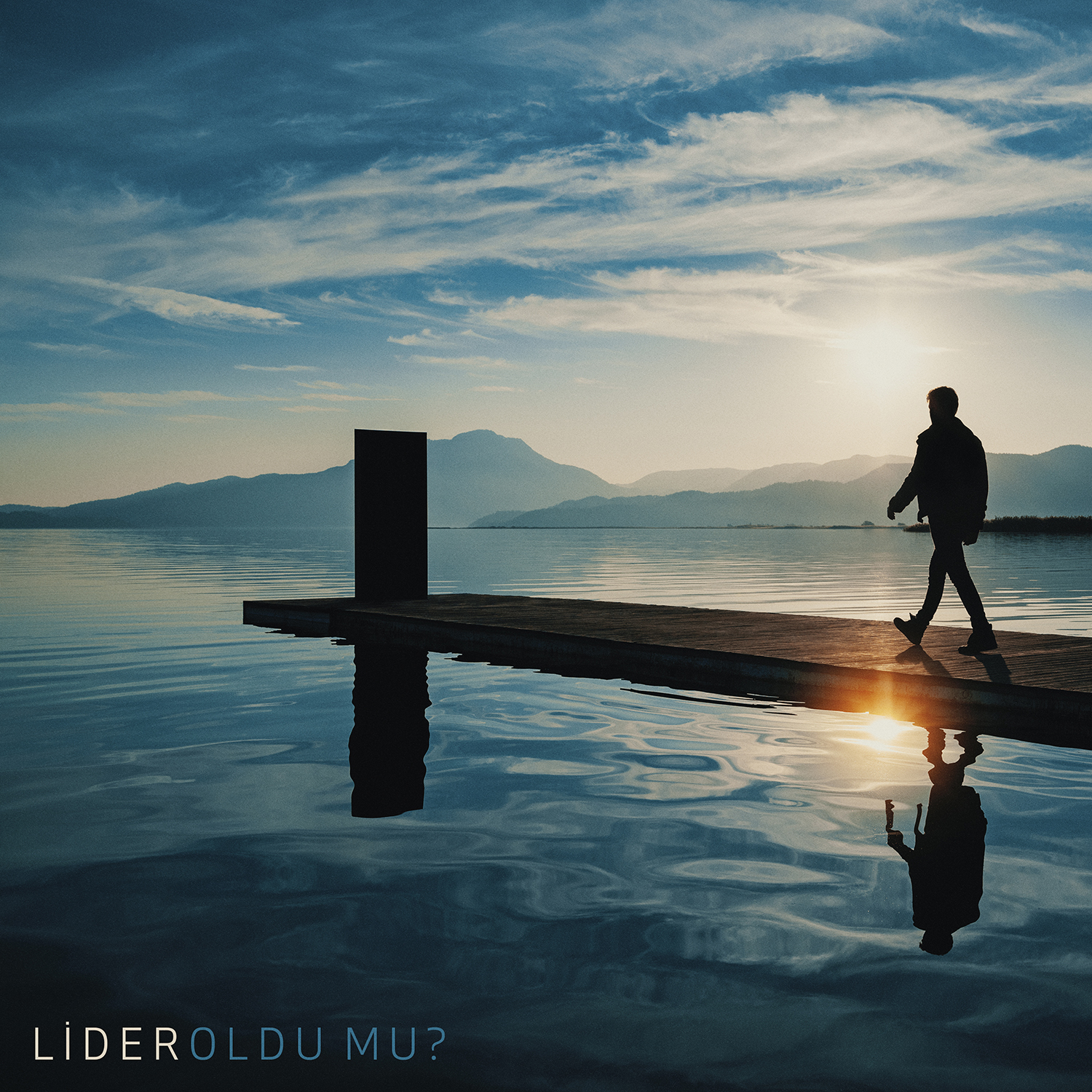 Lider Şahin - Oldu Mu 